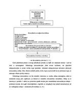 Referāts 'Mārketinga komunikācijas', 4.