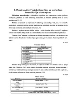 Referāts 'Mārketinga komunikācijas', 7.