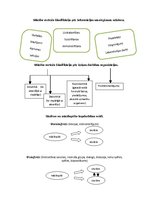 Referāts 'Mācību metožu izvēle', 6.