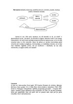 Referāts 'Mācību metožu izvēle', 7.
