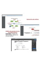 Konspekts 'Anatomijas konspekti', 2.