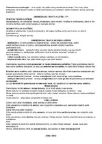 Konspekts 'Anatomijas konspekti', 24.