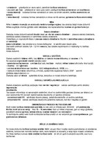 Konspekts 'Anatomijas konspekti', 25.