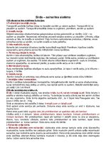 Konspekts 'Anatomijas konspekti', 30.