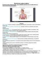 Konspekts 'Anatomijas konspekti', 42.