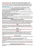 Konspekts 'Anatomijas konspekti', 44.