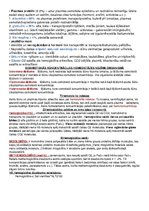 Konspekts 'Anatomijas konspekti', 56.