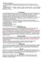 Konspekts 'Anatomijas konspekti', 59.