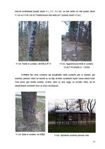 Referāts 'Pilsētas ainavas kvalitātes komplekss novērtējums', 10.