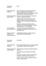 Konspekts 'Starptautiskās organizācijas', 1.