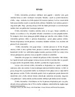 Referāts 'Sabiedrības informētība par cilvēku tirdzniecību', 7.