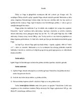 Referāts 'Viduslaiku Prāga: multietniska pilsēta Eiropas sirdī', 4.