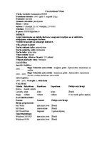 Paraugs 'Curriculum Vitae', 1.