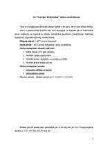 Referāts 'Bankas X aktīvu novērtējums', 1.