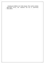 Eseja 'Izrāde "Psihs"', 2.