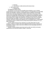 Referāts 'Tiesu sistēma ārvalstīs - Zviedrija, Kipra, Īrija, Grieķija', 6.