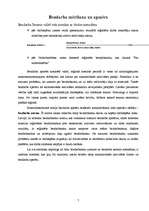 Referāts 'Nodarbinātība un bezdarbs Latvijā', 7.