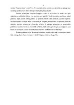 Referāts 'Eksāmena darbs literatūrā "Jaunietis literatūrā"', 8.