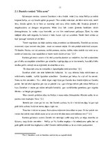 Referāts 'Eksāmena darbs literatūrā "Jaunietis literatūrā"', 11.