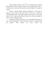 Referāts 'Eksāmena darbs literatūrā "Jaunietis literatūrā"', 15.