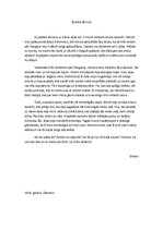 Eseja 'Latviešu strēlnieka vēstule', 3.