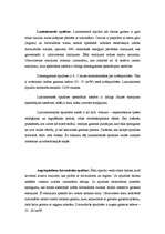 Konspekts 'Gaisma', 6.