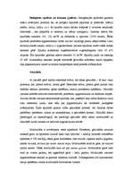 Konspekts 'Gaisma', 7.