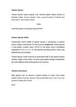 Konspekts 'Gaisma', 11.