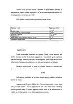 Konspekts 'Gaisma', 12.