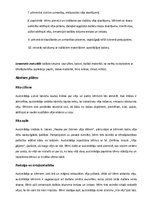 Konspekts 'Integrētā diena', 4.