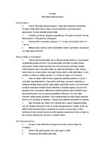 Konspekts 'Gleznas analīze. Korredžo "Dievmātes debesbraukšana"', 1.