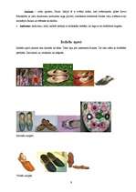 Referāts 'Apģēbi un aksesuāri senajā Indijā', 9.