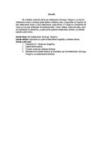 Referāts 'Māksliniece Solveiga Vasiļjeva', 2.