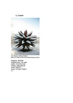 Referāts 'Māksliniece Solveiga Vasiļjeva', 14.