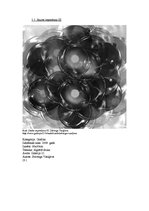 Referāts 'Māksliniece Solveiga Vasiļjeva', 17.