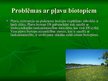 Prezentācija 'Pļavu biotopi', 9.