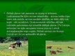 Prezentācija 'Pļavu biotopi', 10.