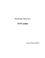 Referāts 'PEST analīze AS "Latvijas Balzams"', 1.