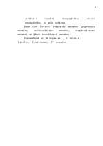 Diplomdarbs 'Latvijas - Vācijas kopuzņēmuma attīstības stratēģija', 3.