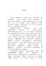 Diplomdarbs 'Latvijas - Vācijas kopuzņēmuma attīstības stratēģija', 4.