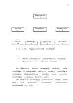 Diplomdarbs 'Latvijas - Vācijas kopuzņēmuma attīstības stratēģija', 9.