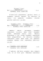 Diplomdarbs 'Latvijas - Vācijas kopuzņēmuma attīstības stratēģija', 10.