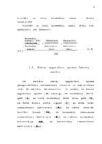 Diplomdarbs 'Latvijas - Vācijas kopuzņēmuma attīstības stratēģija', 14.