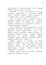 Diplomdarbs 'Latvijas - Vācijas kopuzņēmuma attīstības stratēģija', 23.