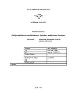 Paraugs 'Gadījuma lielumu modelēšana ar dažādiem sadalījuma likumiem', 1.