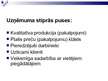 Prezentācija 'Kvalifikācijas prakses prezentācija', 5.