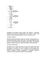 Referāts 'Sportista anamnēze', 5.