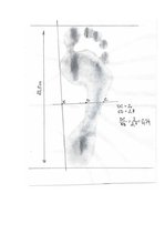 Referāts 'Sportista anamnēze', 7.