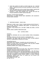 Referāts 'Sportista anamnēze', 12.