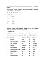 Referāts 'Sportista anamnēze', 17.